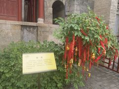 -娲皇宫