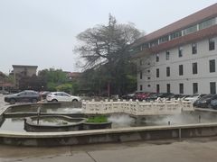 -止园酒店-中餐厅