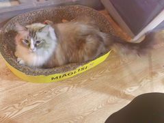 -白兔子密室(长寿路店)