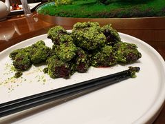 -泰康之家·申园