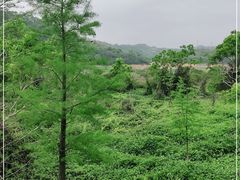 -东莞市大岭山森林公园