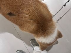 -YCHL Studios健身工作室(市二宫店)