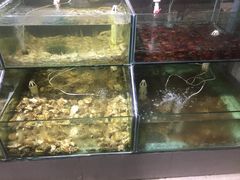 -海岸风情蒸汽海鲜自助餐厅(家宴金手勺店)
