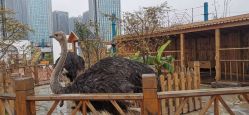 -三分地生态园·儿童乐园