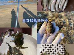 -海南铜鼓岭景区