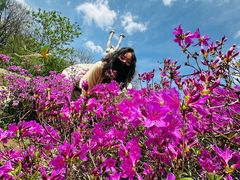 -沈阳植物园
