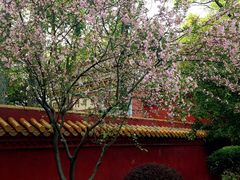 -南岳衡山风景名胜区-南岳大庙