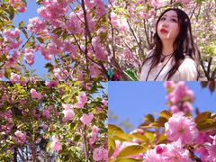 -长白岛森林公园