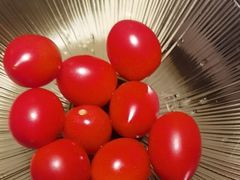 -淮扬府·游园京梦(北京SKP店)