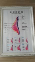 -成都伊贝丝美容美胸SPA会所