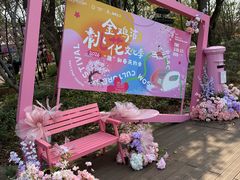 -金鸡湖桃花岛