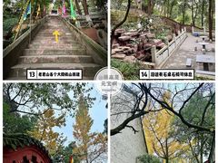 -老君山