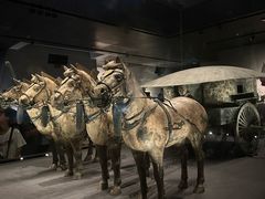 -秦始皇帝陵博物院-丽山园