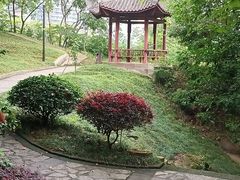 -重庆彩云湖湿地公园