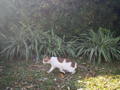 -二沙岛艺术公园