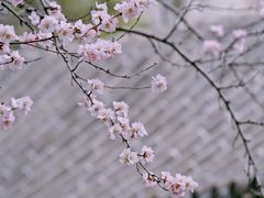 -颐和园