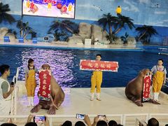 -泉城欧乐堡海洋极地世界