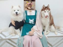 -星多哈·狗咖·拼豆·咖啡