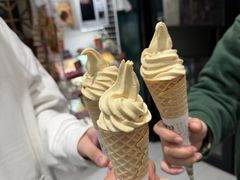 -茶颜悦色(花样汇店)