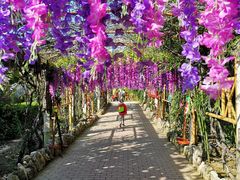 -呀路古热带植物园