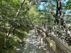 -圣莲山风景区