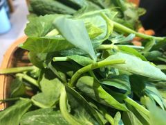 豌豆尖-阿婆情腊排骨火锅(饮玉巷店)