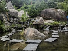 -大围山国家森林公园