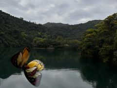 -鼎湖山风景区