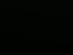 -东京包子楼(政七街店)