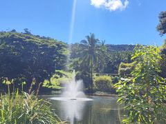 -热带雨林自然公园