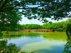 -西溪国家湿地公园