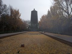 -玲珑塔公园
