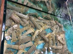 -万尾金滩
