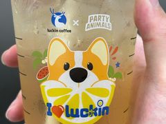 -瑞幸咖啡(星河WORLDCOCOPark店)