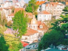 -八大关景区