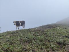 -灵山
