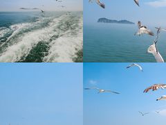 -海驴岛(荣成市)