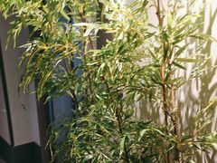-百富源·海鲜辽菜(张士店)