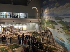 -自贡恐龙博物馆