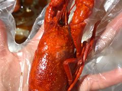 -李叔叔虾蟹大排档(青羊店)
