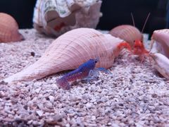 -南昌融创海世界