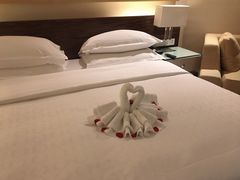 -芽庄喜来登水疗酒店