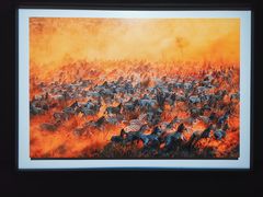 -罗红摄影艺术馆