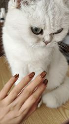 -兮奈ネイル美甲美睫·皮肤管理