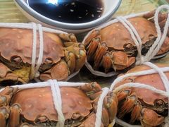-蟹天蟹地农家菜·阳澄湖大闸蟹(浅水湾店)