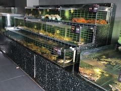 -浩运·海鲜青岛菜·海胆水饺(石老人店)