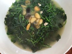 绿浅草上汤-顺德了能馆(虎门店)