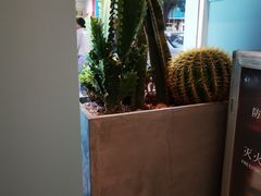 -米泰芒·东南亚料理(体育西店)