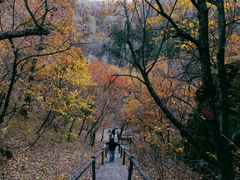 -茅兰沟国家森林公园