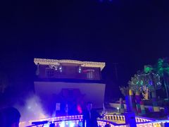 -金山农民画村-枫泾波兰倒置屋